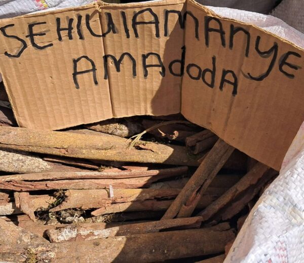 Sehlulamanye Amadoda