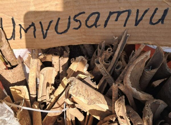 Umfusamvu/Umkhwenkwe