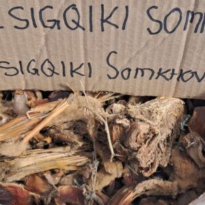 Isigqiki Somkhovu