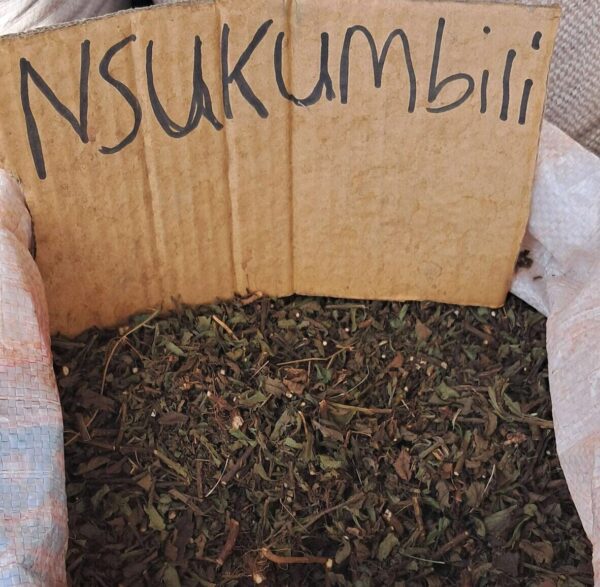 Ntsukumbili