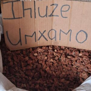 Ihluze/Umxamo