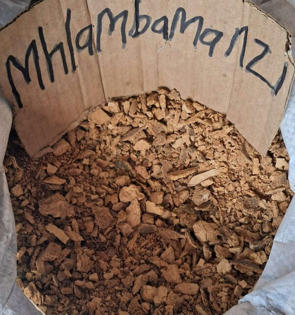 Umhlambamanzi