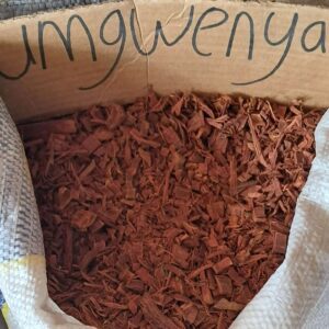 Umgwenya