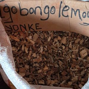 Igobongo lemimoya yonke