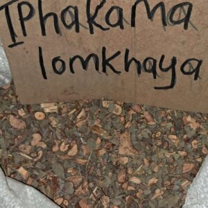 iphakama lomkhaya umuthi