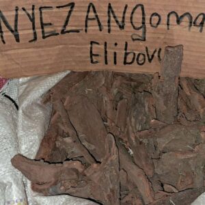 Nyazangoma elibovu umuthi