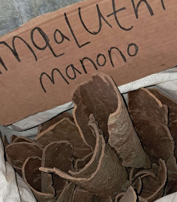 Umqaluthi, Umnono umuthi