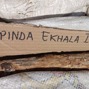 Impinda ekhala igazi