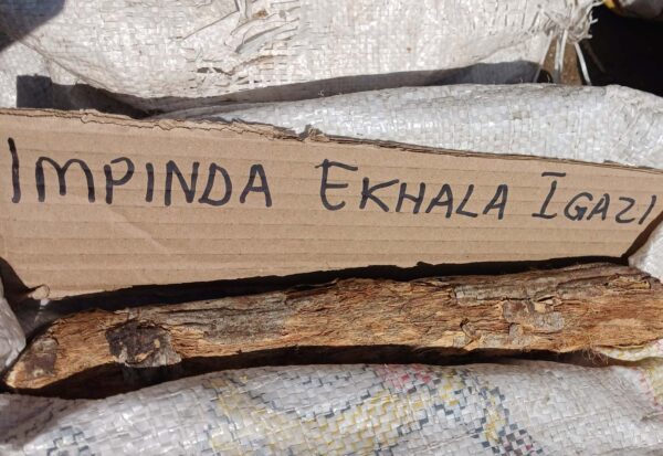 Impinda ekhala igazi