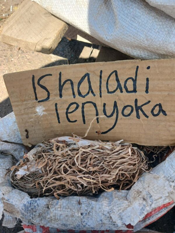 Ishaladi lenyoka