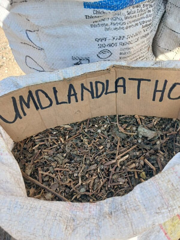 Umdlandlatho