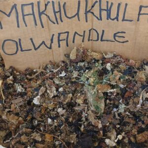 Makhukhula Olwandle