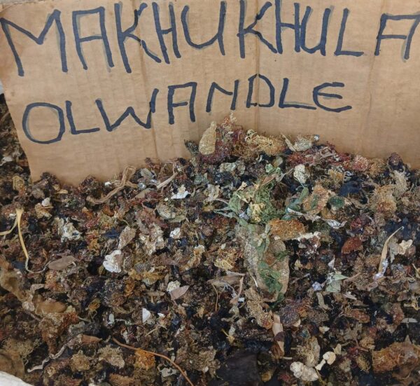 Makhukhula Olwandle