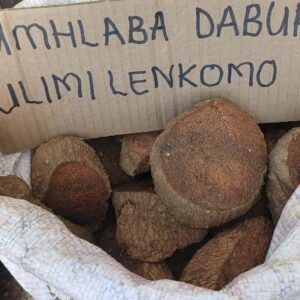 Umhlaba Dabuka