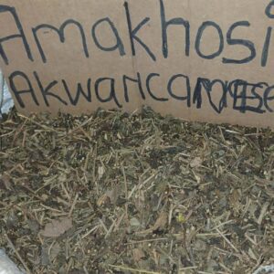 Amakhosi akwaNcamane