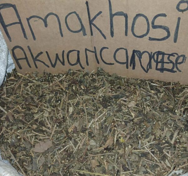 Amakhosi akwaNcamane