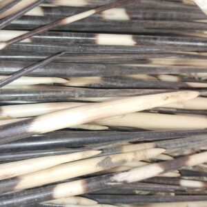 Amasiba eNgungumbane