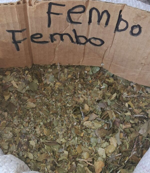 Fembo Green