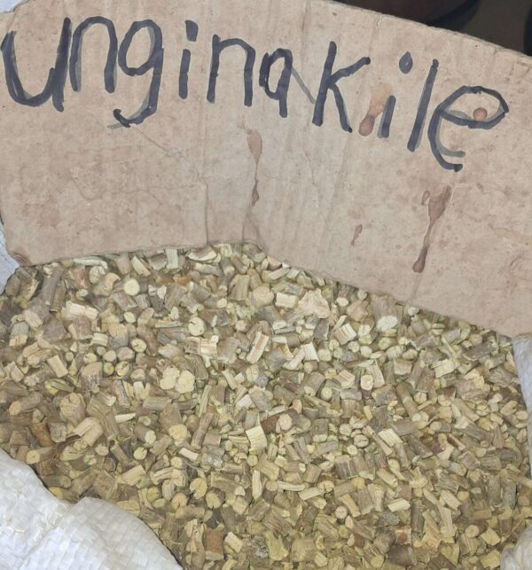 Unginakile