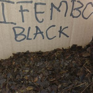 Ifembo elimnyama umuthi