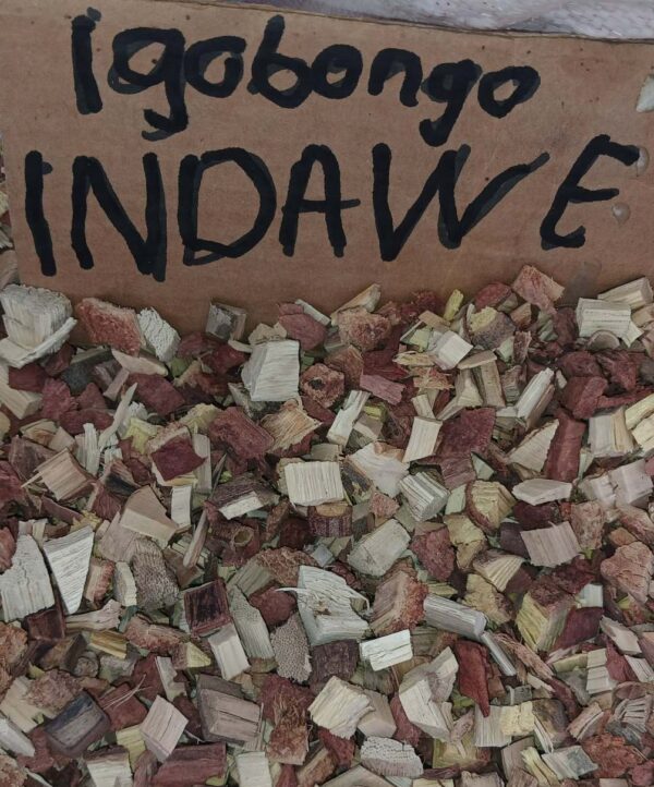 Igobongo Indawe umuthi