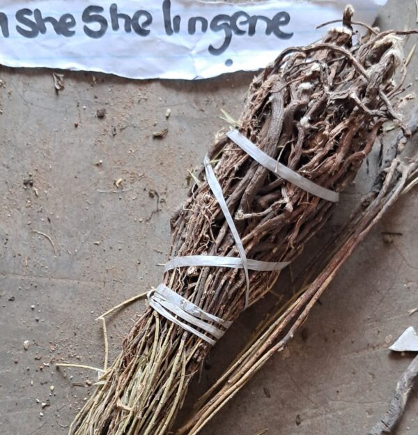 Isheshelingene umuthi