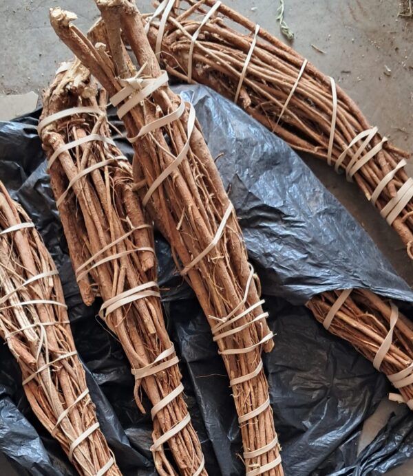 Umnandi novendle umuthi