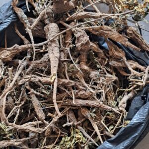 Bhekamina ngedwa umuthi