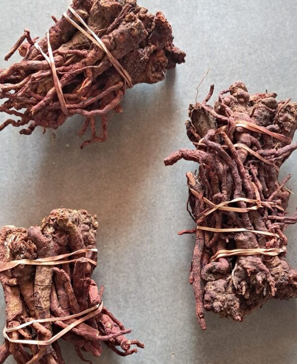 Mayisaka Obomvu umuthi