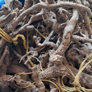 Mayisaka Omhlophe umuthi