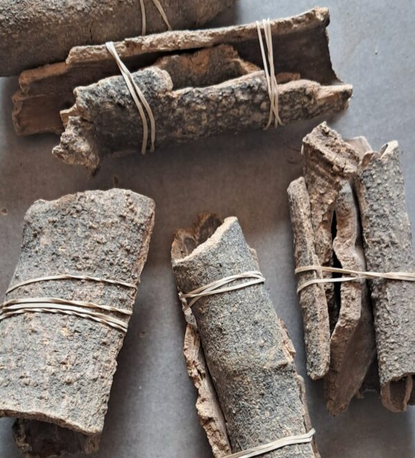 Mahlaba ekufeni umuthi